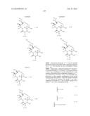 MACROLIDES AND METHODS OF THEIR PREPARATION AND USE diagram and image