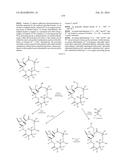 MACROLIDES AND METHODS OF THEIR PREPARATION AND USE diagram and image