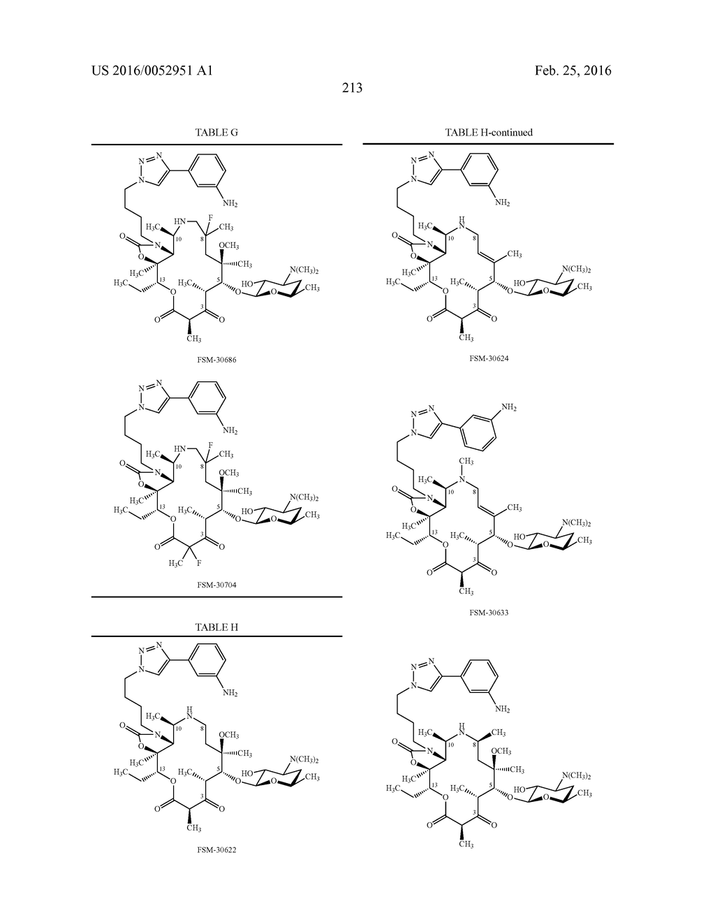 MACROLIDES AND METHODS OF THEIR PREPARATION AND USE - diagram, schematic, and image 218