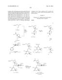 MACROLIDES AND METHODS OF THEIR PREPARATION AND USE diagram and image