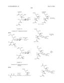 MACROLIDES AND METHODS OF THEIR PREPARATION AND USE diagram and image