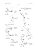 MACROLIDES AND METHODS OF THEIR PREPARATION AND USE diagram and image