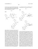 MACROLIDES AND METHODS OF THEIR PREPARATION AND USE diagram and image