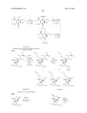 MACROLIDES AND METHODS OF THEIR PREPARATION AND USE diagram and image