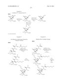 MACROLIDES AND METHODS OF THEIR PREPARATION AND USE diagram and image