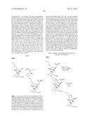 MACROLIDES AND METHODS OF THEIR PREPARATION AND USE diagram and image