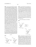 MACROLIDES AND METHODS OF THEIR PREPARATION AND USE diagram and image