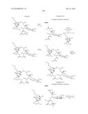 MACROLIDES AND METHODS OF THEIR PREPARATION AND USE diagram and image