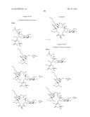 MACROLIDES AND METHODS OF THEIR PREPARATION AND USE diagram and image