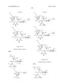 MACROLIDES AND METHODS OF THEIR PREPARATION AND USE diagram and image