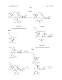 MACROLIDES AND METHODS OF THEIR PREPARATION AND USE diagram and image