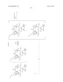 MACROLIDES AND METHODS OF THEIR PREPARATION AND USE diagram and image