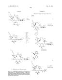 MACROLIDES AND METHODS OF THEIR PREPARATION AND USE diagram and image