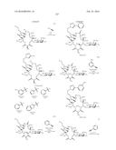 MACROLIDES AND METHODS OF THEIR PREPARATION AND USE diagram and image