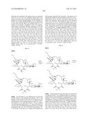 MACROLIDES AND METHODS OF THEIR PREPARATION AND USE diagram and image