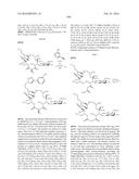 MACROLIDES AND METHODS OF THEIR PREPARATION AND USE diagram and image