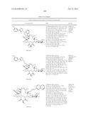 MACROLIDES AND METHODS OF THEIR PREPARATION AND USE diagram and image