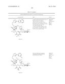 MACROLIDES AND METHODS OF THEIR PREPARATION AND USE diagram and image