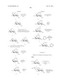 MACROLIDES AND METHODS OF THEIR PREPARATION AND USE diagram and image