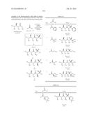 MACROLIDES AND METHODS OF THEIR PREPARATION AND USE diagram and image