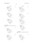 MACROLIDES AND METHODS OF THEIR PREPARATION AND USE diagram and image