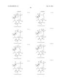 MACROLIDES AND METHODS OF THEIR PREPARATION AND USE diagram and image