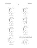 MACROLIDES AND METHODS OF THEIR PREPARATION AND USE diagram and image