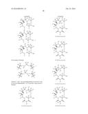 MACROLIDES AND METHODS OF THEIR PREPARATION AND USE diagram and image