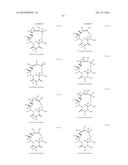 MACROLIDES AND METHODS OF THEIR PREPARATION AND USE diagram and image