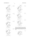 MACROLIDES AND METHODS OF THEIR PREPARATION AND USE diagram and image