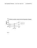 RADIOLABELED CATIONIC STEROID ANTIMICROBIALS AND DIAGNOSTIC METHODS diagram and image