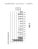 Compositions Containing, Methods Involving, and Uses of Non-Natural Amino     Acid Linked Dolastatin Derivatives diagram and image