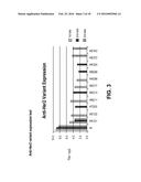 Compositions Containing, Methods Involving, and Uses of Non-Natural Amino     Acid Linked Dolastatin Derivatives diagram and image