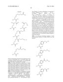 Compositions Containing, Methods Involving, and Uses of Non-Natural Amino     Acid Linked Dolastatin Derivatives diagram and image