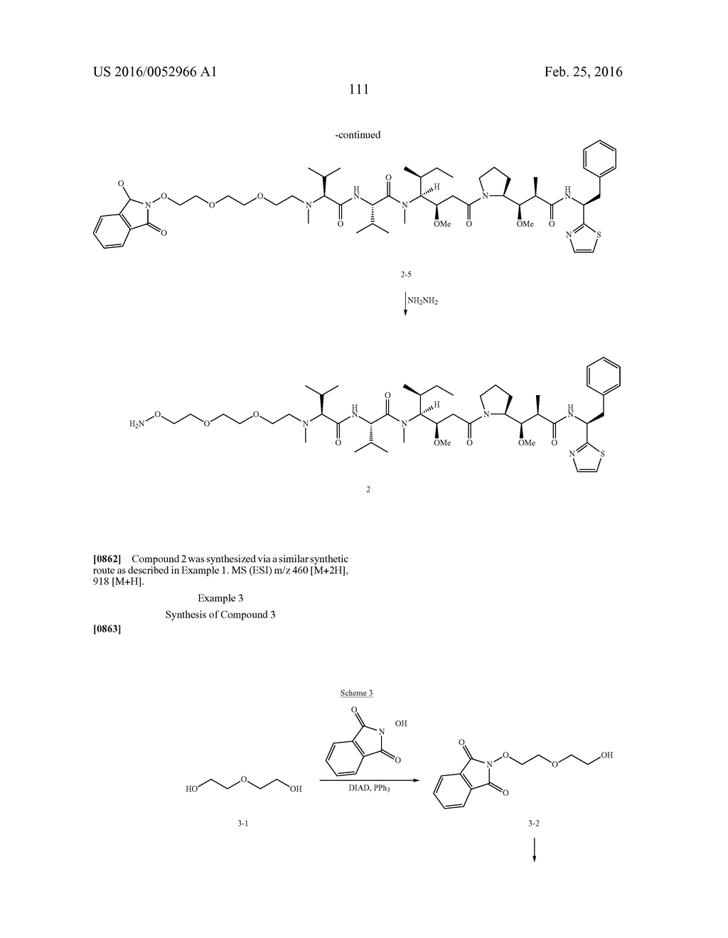 Compositions Containing, Methods Involving, and Uses of Non-Natural Amino     Acid Linked Dolastatin Derivatives - diagram, schematic, and image 130