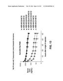 Compositions Containing, Methods Involving, and Uses of Non-Natural Amino     Acid Linked Dolastatin Derivatives diagram and image