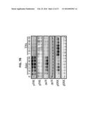 USE OF INHIBITORY PEPTIDES FOR THE TREATMENT OF INFLAMMATORY DISEASES diagram and image