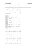 POLYPEPTIDE HAVING SIALYLATED SUGAR CHAINS ATTACHED THERETO diagram and image