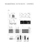 COMPOSITIONS AND METHODS RELATING TO INHIBITING CANCER CELL GROWTH AND/OR     PROLIFERATION diagram and image