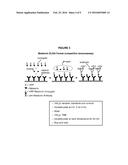 MELATONIN MONOCLONAL ANTIBODY, DETECTION, METHODS AND USES THEREOF diagram and image