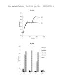 ANTIBODY SPECIFICALLY BINDING TO HER2 diagram and image