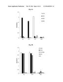 ANTIBODY SPECIFICALLY BINDING TO HER2 diagram and image