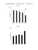 ANTIBODY SPECIFICALLY BINDING TO HER2 diagram and image