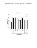 ANTIBODY SPECIFICALLY BINDING TO HER2 diagram and image