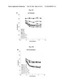 ANTIBODY SPECIFICALLY BINDING TO HER2 diagram and image