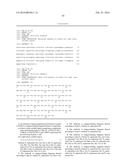 ANTIBODY SPECIFICALLY BINDING TO HER2 diagram and image