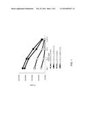 ANTI-CD276 POLYPEPTIDES, PROTEINS, AND CHIMERIC ANTIGEN RECEPTORS diagram and image