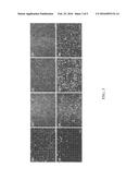 PEM LAYER-BY-LAYER SYSTEMS FOR COATING SUBSTRATES TO IMPROVE BIOACTIVITY     AND BIOMOLECULE DELIVERY diagram and image