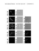 BACILLUS BASED DELIVERY SYSTEM AND METHODS OF USE diagram and image