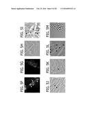 BACILLUS BASED DELIVERY SYSTEM AND METHODS OF USE diagram and image